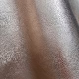 metalická starorůž