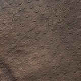 měděnohnědá se pštrosí ražbou