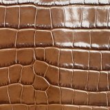 hnědá krokodýlí ražba